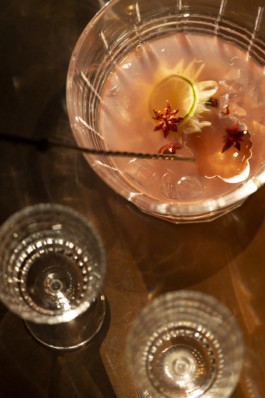 260 Hyatt Regency Chantilly Le Conde Punch3 1920