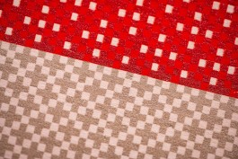 Colour exteme macro shot. Extreme close-up of
