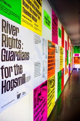 CCD KSA Exhibit Wall Closeup. A brightly lit exhibition corridor featuring the project River Rights: Guardians for the Hogsmill. The wall is covered in large posters—white for core project information and neon pink, green, yellow, and orange for alarming headlines about river pollution in the UK. The lead poster explains the project’s focus on recognising rivers as living entities with legal rights. The immersive, colourful display draws attention to urgent environmental issues through bold design and impactful messaging.