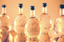 OVO transparent bottles front view. Light transparent bottle with navy blue printed text over gold background. Five bottles over gold background. Light atmosphere.
