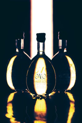 The picture contains three transparent bottles with a contrast between light and dark. Behind the bottle, light passes through the bottles, shaping the oval contour of the bottle.